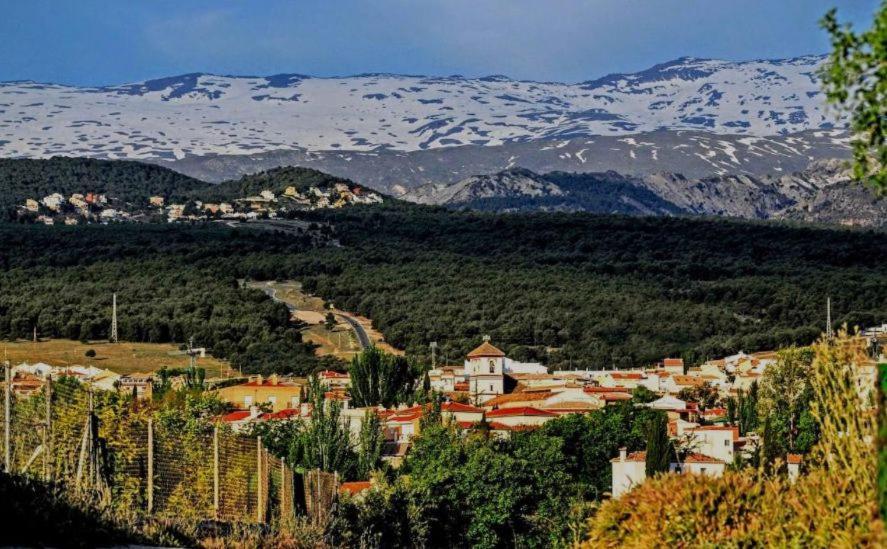 Apartamento Con Encanto En Granada, La Zubia Екстериор снимка
